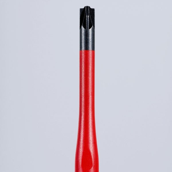 Schraubendreher mit rotem Griff und Torx-Profil