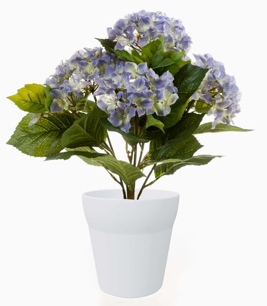 Künstliche Hortensie im weißen Kunststofftopf mit grünen Blättern und blau-violetten Blüten.