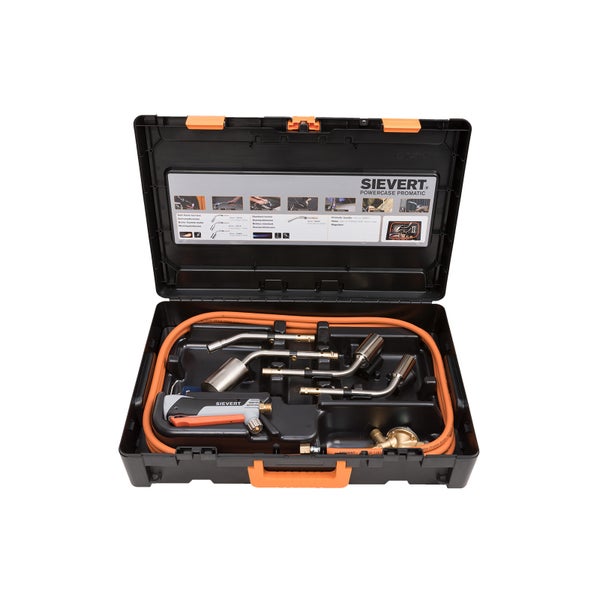 Ginsterpflanze mit zarten Blüten und grünen Blättern