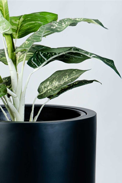 Künstliche Pflanze mit gemusterten grünen Blättern in einem großen schwarzen Blumentopf.