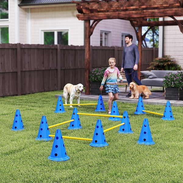 Agility-Set für Hunde mit blauen Pylonen und gelben Stangen auf Rasen im Garten, Kind und Hunde beim Training in heller, organisierter Umgebung.
