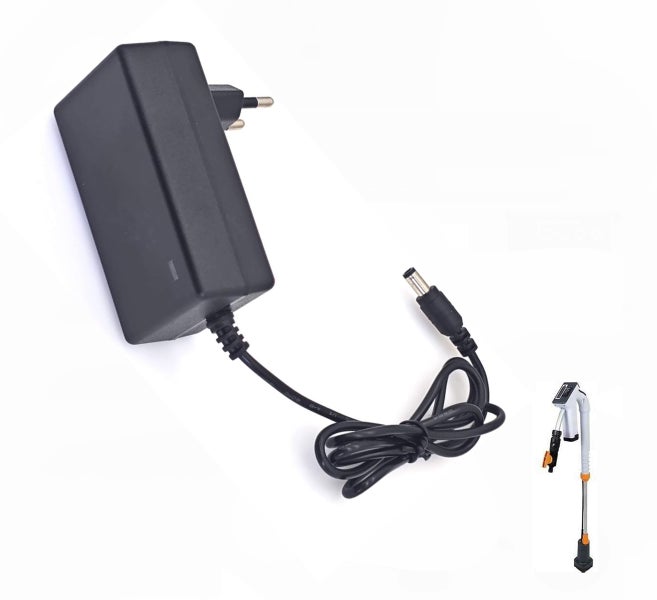 Ladegerät für Regenfasspumpe mit Netzkabel und Stecker