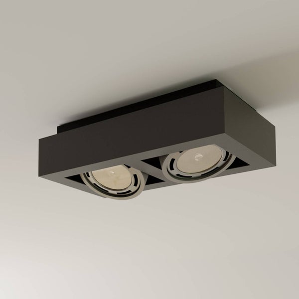 Deckenleuchte mit zwei Strahlern
