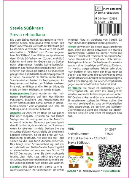SAFLAX Anzucht Set - Stevia Süßkraut - Stevia rebaudiana - 100 Samen - Mit Mini-Gewächshaus, Anzuchtsubstrat und 2 Töpfen