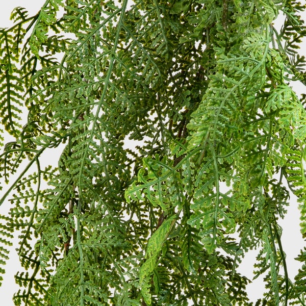 Nahaufnahme von dichten grünen Blütenknospen mit violetten Akzenten.