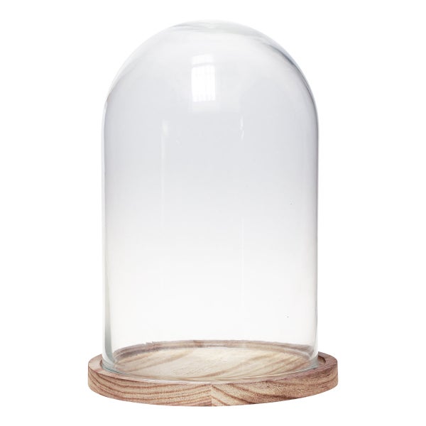 Glasglocke mit rundem Holzsockel für Dekorationen.