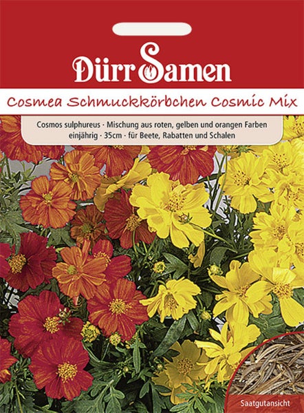 Samentüte Dürr Samen Cosmea Schmuckkörbchen Cosmic Mix, Cosmos sulphureus, einjährig, Höhe circa 35 Zentimeter, Dürr Samen Logo.
