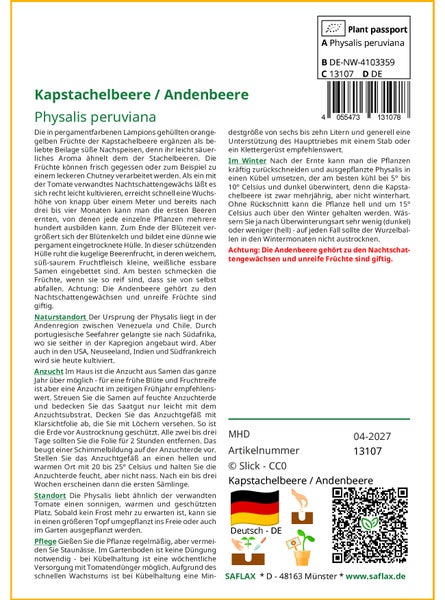 SAFLAX  - Kapstachelbeere / Andenbeere - Physalis peruviana - 100 Samen