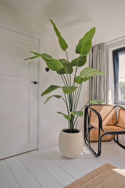 Künstliche Pflanze Strelitzia 210 cm real touch