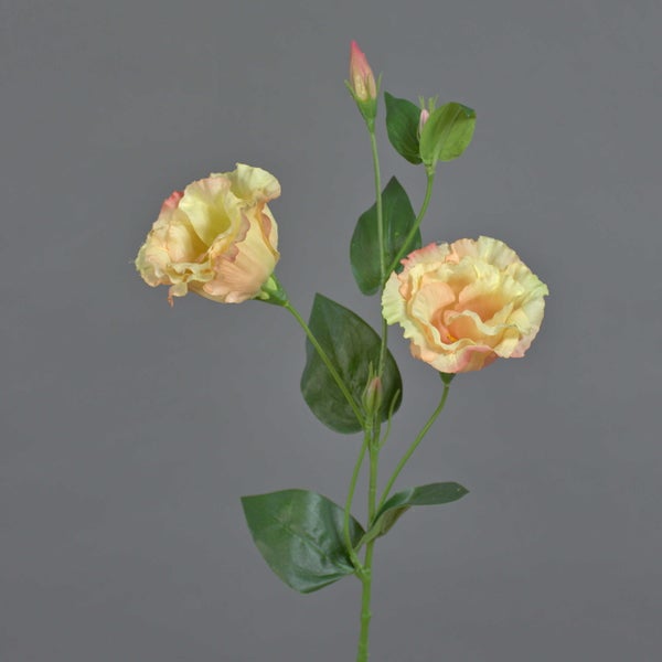Künstliche Lisianthus Blüte in Pfirsich und Creme mit grünem Blatt.