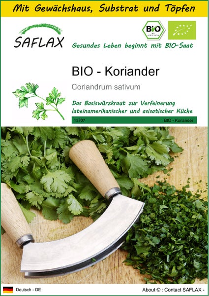 SAFLAX Anzucht Set - BIO - Koriander - Coriandrum sativum - 150 Samen - Mit Mini-Gewächshaus, Anzuchtsubstrat und 2 Töpfen
