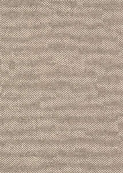 Nahaufnahme einer lila blühenden Zwergspiere mit gelben Blättern.