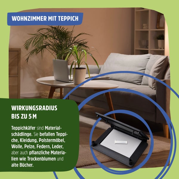 Teppichkäfer Pheromonfalle