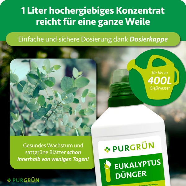Purgrün Logo, Eukalyptus Dünger Konzentrat 1 Liter mit Dosierkappe, reicht für bis zu 400 Liter Gießwasser.