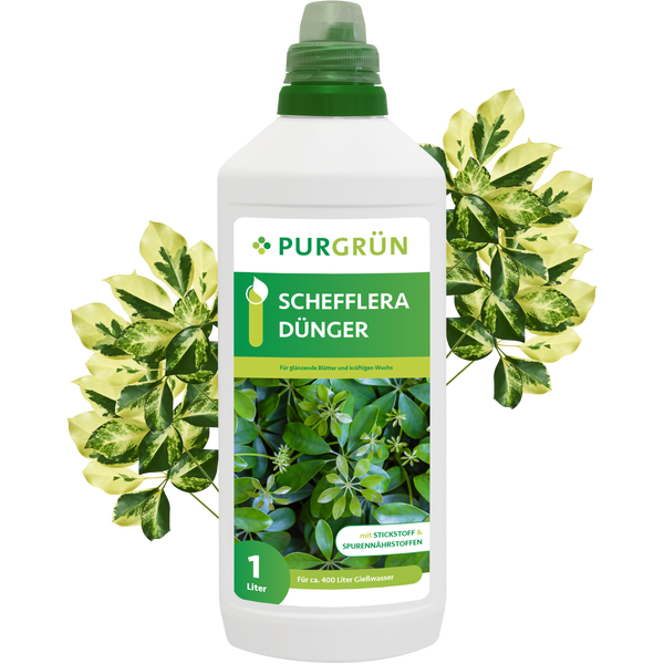 Purgrün Schefflera-Dünger 1 Liter