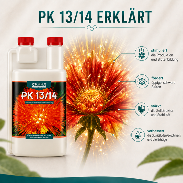 Canna PK 13 14 Pflanzendünger für Blütebildung in einer Flasche mit erklärender Grafik zu Wirkung und Vorteilen für das Pflanzenwachstum.