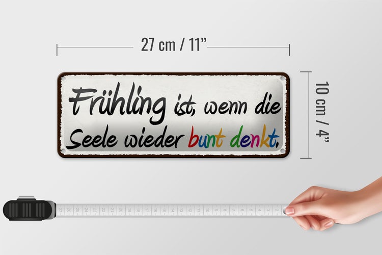 Blechschild Spruch 27x10cm Frühling wenn Seele bunt denkt Dekoration