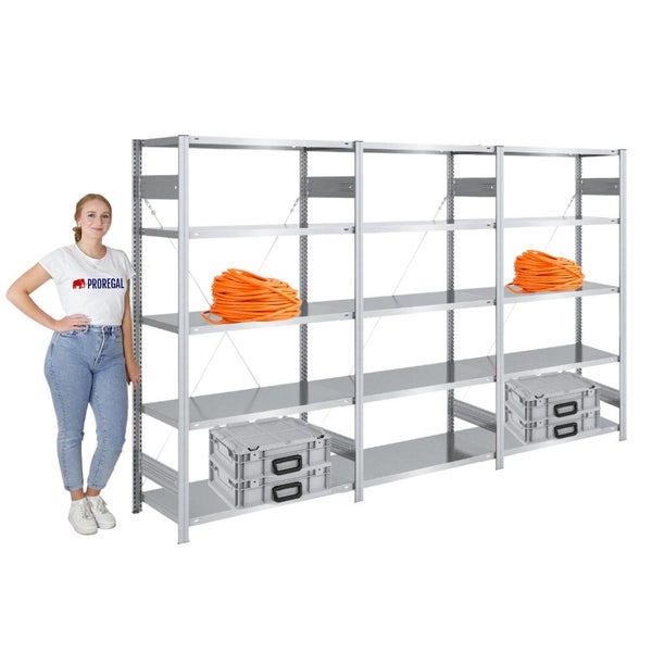 PROREGAL Schwerlastregal Silver Mamba Made In Germany  HxBxT 200 x 300 x 50 cm 5 Ebenen Je 150 kg Fachlast  Verzinkt