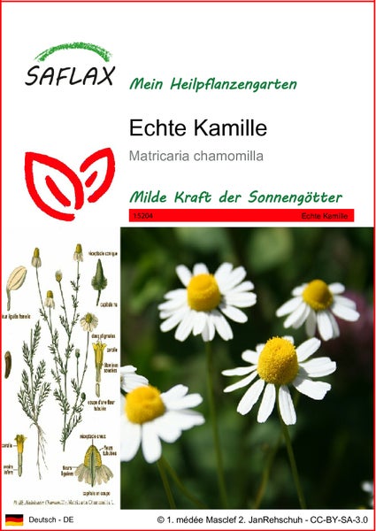 SAFLAX  - Echte Kamille - Matricaria chamomilla - 300 Samen