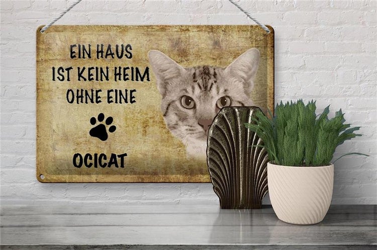 Blechschild Spruch 30x20cm Ocicat Katze ohne kein Heim