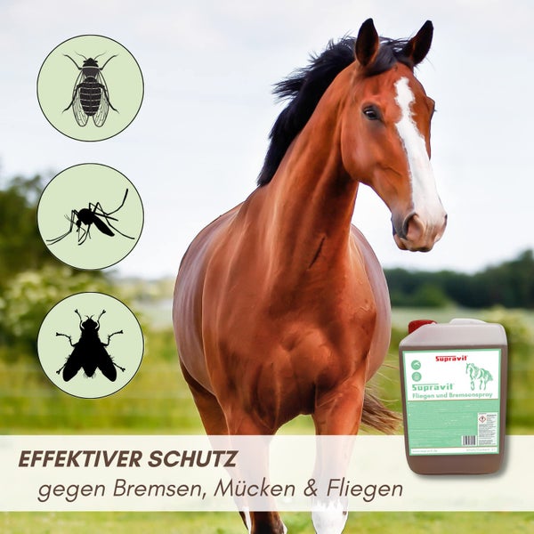 Supravit Fliegen- und Bremsenspray für Pferde im 3 Liter Kanister, schützt effektiv vor Bremsen, Mücken und Fliegen.