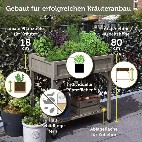 VegTrug Logo und Collage von hölzernen Hochbeeten und Gewächshäusern mit Menschen beim Gärtnern und Ernten von Gemüse, Kräutern und Erdbeeren.