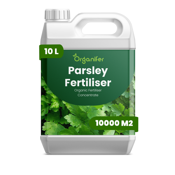 Organifer Bio-Petersiliendünger Konzentrat, 10 Liter Kanister für 10000 Quadratmeter.