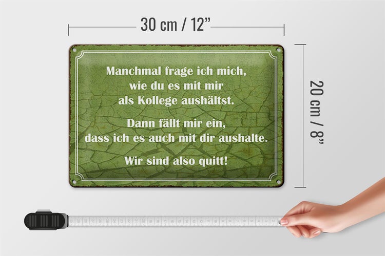 Blechschild Spruch 30x20cm wie du mit mir als Kollege