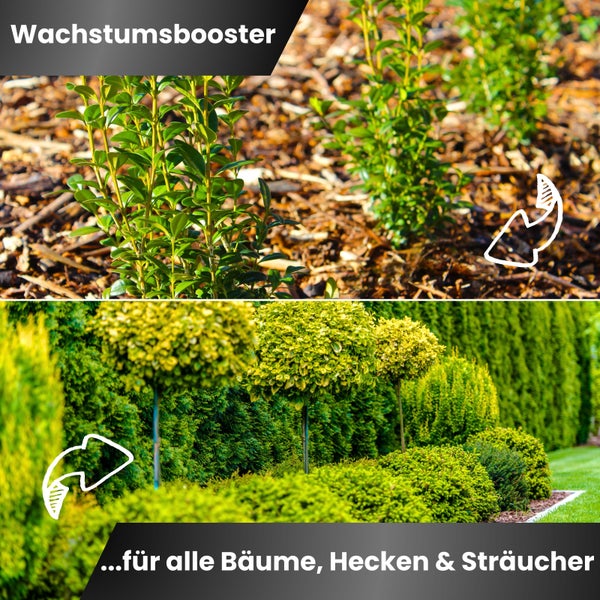 Greenyp Universal Heckendünger I 10kg für 300m² I für alle Bäume, Sträucher & Hecken I Koniferen Langzeitdünger I Schnelles Wachstum Neuanpflanzungen