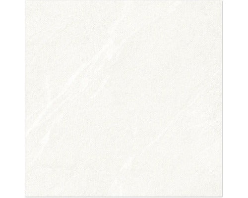 Wand- und Bodenfliese Dhara white 59,5x59,5cm matt