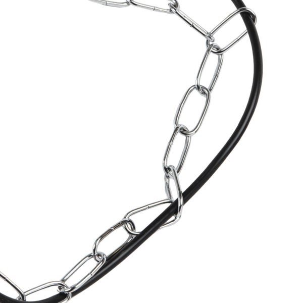 Detailaufnahme eines Hundehalsbandes mit Kette