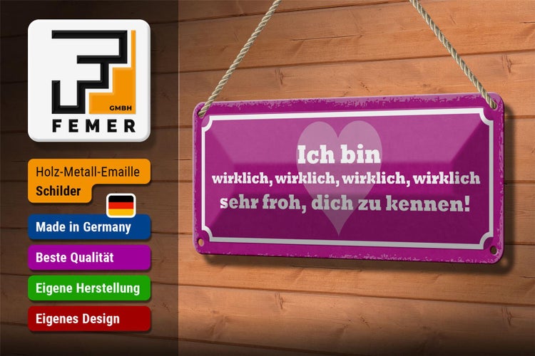 Blechschild Spruch 27x10cm bin wirklich froh dich zu kennen Dekoration