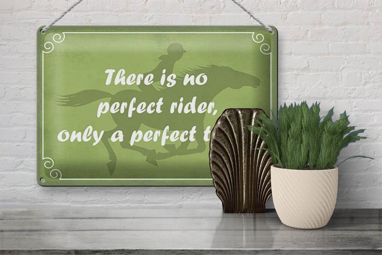 Blechschild Spruch 30x20cm there is no perfect rider only
