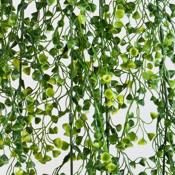 Künstliche grüne Hängepflanze mit dichten Ranken und kleinen runden Blättern.