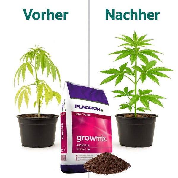Vorher und Nachher Vergleich mit Plagron Growmix Substrat und Plagron Logo. Eine blasse Pflanze wird kräftig grün und gesund.