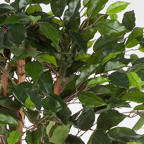 Künstliche Ficus Benjamini Pflanze mit dichtem grünem Laub und naturgetreuen braunen Stämmen.