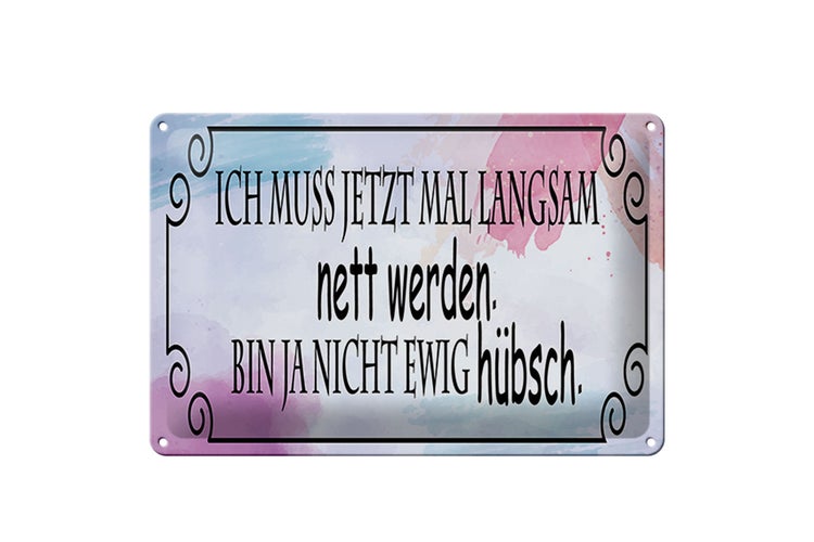 Blechschild Spruch 30x20cm ich muss mal langsam nett werden