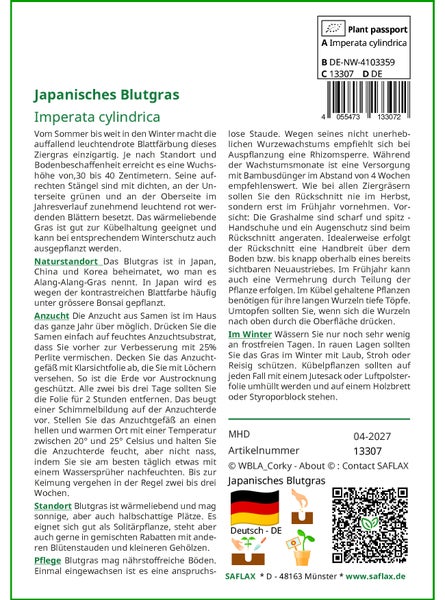 SAFLAX Garden to go - Japanisches Blutgras - Imperata cylindrica - 50 Samen - Mit Topf, Klima - Deckel und Anzuchtsubstrat