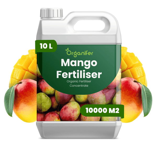 Organifer Mango-Dünger, organisches Düngerkonzentrat, 10 Liter für 10.000 Quadratmeter, Kanister mit Griff.