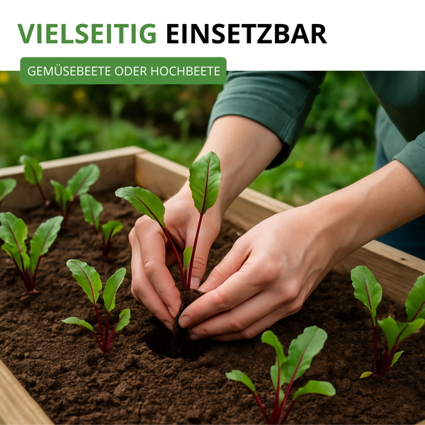 Hände pflanzen einen Setzling in ein hölzernes Hochbeet mit Erde. Text: Vielseitig einsetzbar für Gemüsebeete oder Hochbeete.