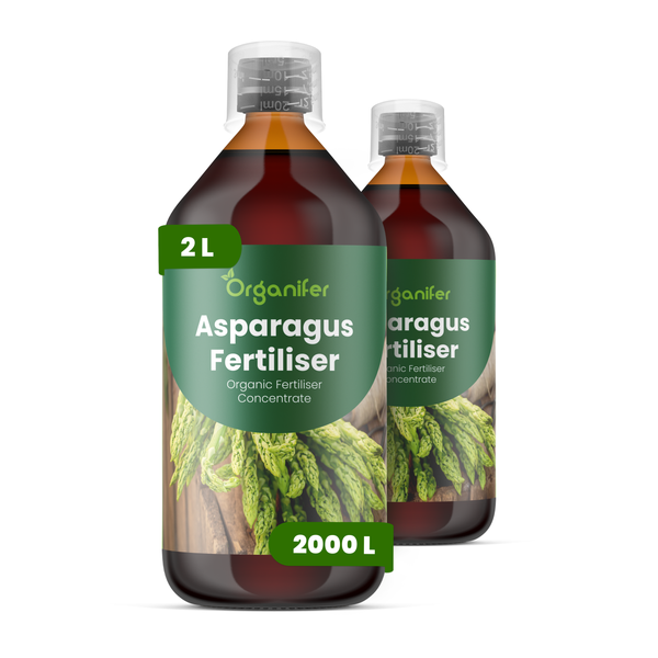 Zwei Flaschen Organifer Spargeldünger, organisches Düngerkonzentrat, 2 Liter, ergibt 2000 Liter.
