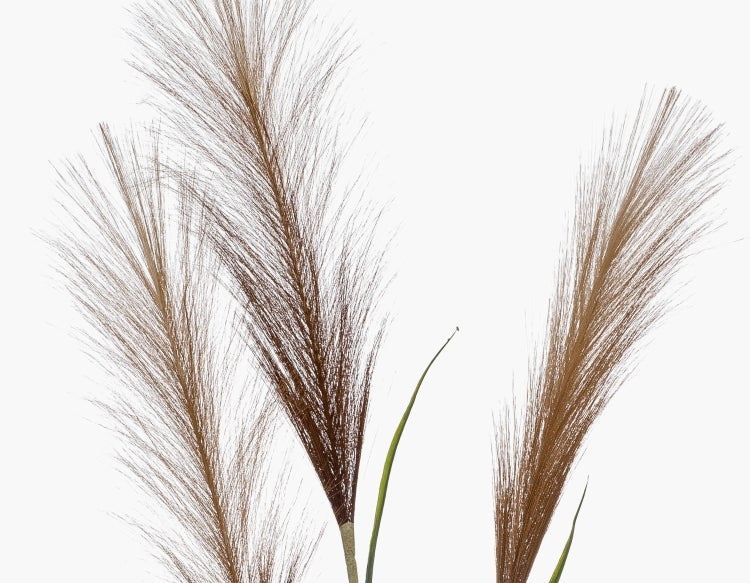 Künstliches Dekogras mit grünen Halmen und braunen federartigen Blüten.