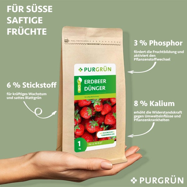 Purgrün Bio-Erdbeerdünger 1 kg