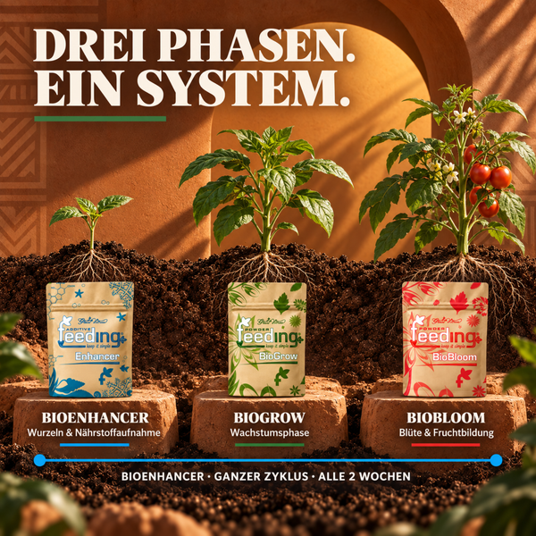 Drei Phasen Pflanzendüngersystem von Green House Feeding bestehend aus BioEnhancer, BioGrow und BioBloom in Beuteln vor einer Tomatenpflanze.