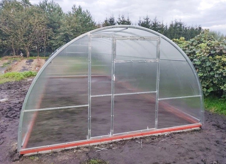 Gewächshaus mit Polycarbonatplatten und Metallrahmen im Garten.