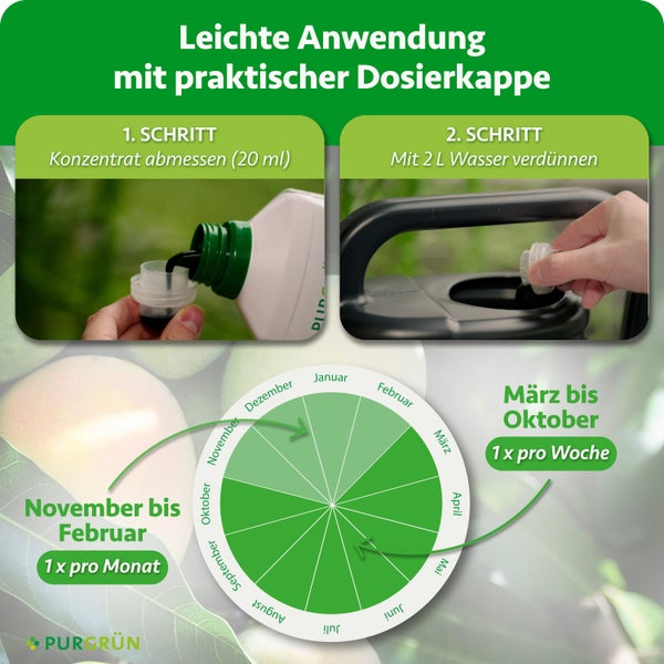Anwendungshinweise und Dosierungsanleitung für Purgrün Dünger mit monatlichem oder wöchentlichem Anwendungsplan im Jahresverlauf.