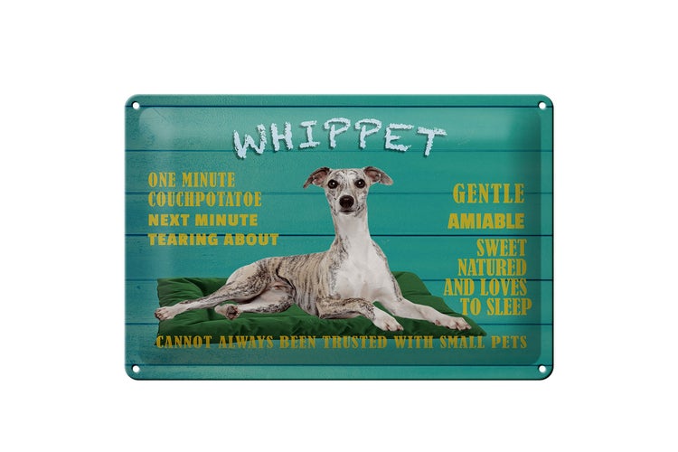 Blechschild Spruch 30x20cm Whippet Hund gentle amiable