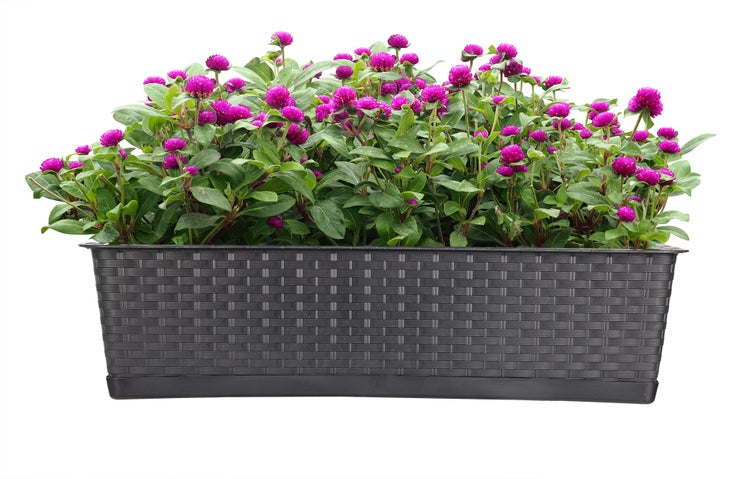 BigDean Blumenkasten mit Untersetzer 70 cm lang Rattan-Optik anthrazit - aus PP-Kunststoff - Balkon Pflanzkasten schmal Balkonkasten