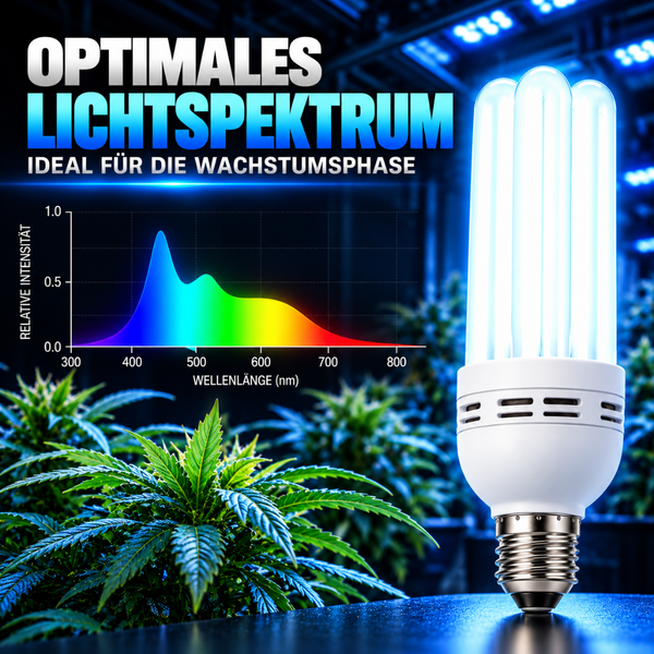 Energiesparlampe für Pflanzenwachstum mit Diagramm zum Lichtspektrum vor unscharfen Pflanzen im Hintergrund.