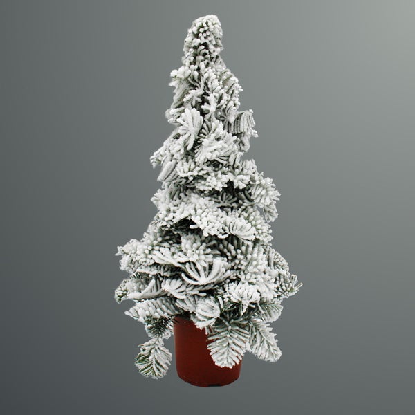 Paraffinbäumchen Tannenbaum mit Schnee Weihnachtsdeko Tannengesteck mit Wachs für draussen 30cm hoch